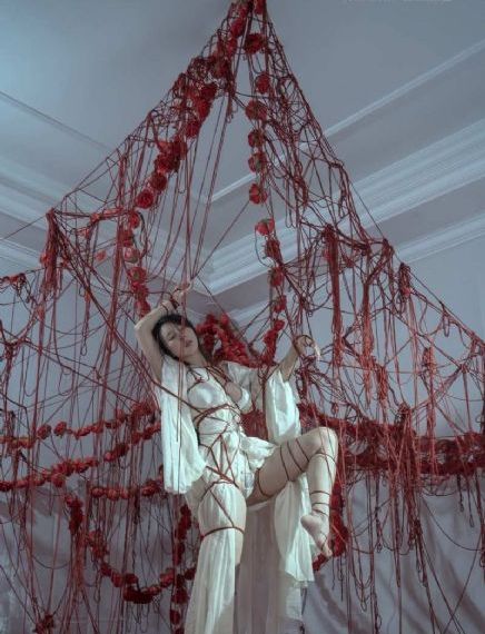 欧美性free厨房高清_1080P在线播放