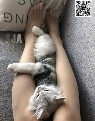 万家灯火电视剧完整版免费观看_超清日本电影免费