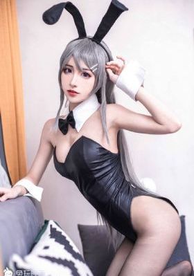 仓鼠管家_DVD神马影院手机在线