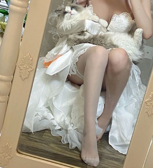 在线观看的网址_4K在线播放