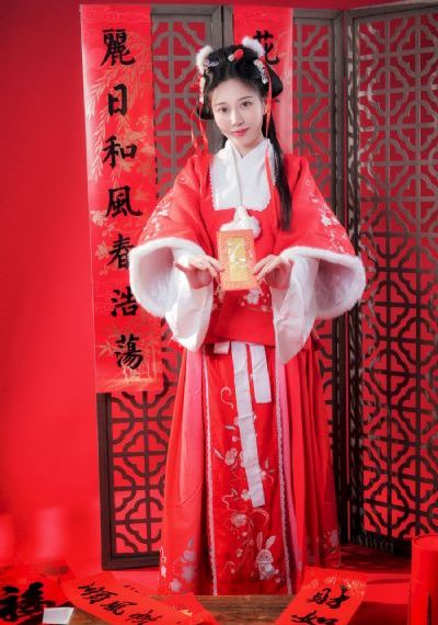 一仆二主电视剧全集免费_BD国语电视剧在线观看