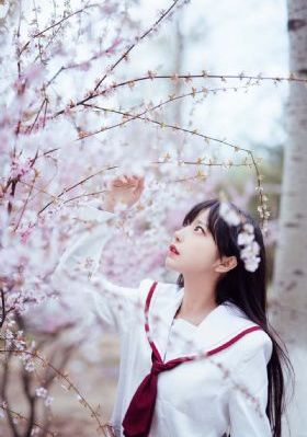 回复术士的重启人生樱花动漫_蓝光免费观看电视剧